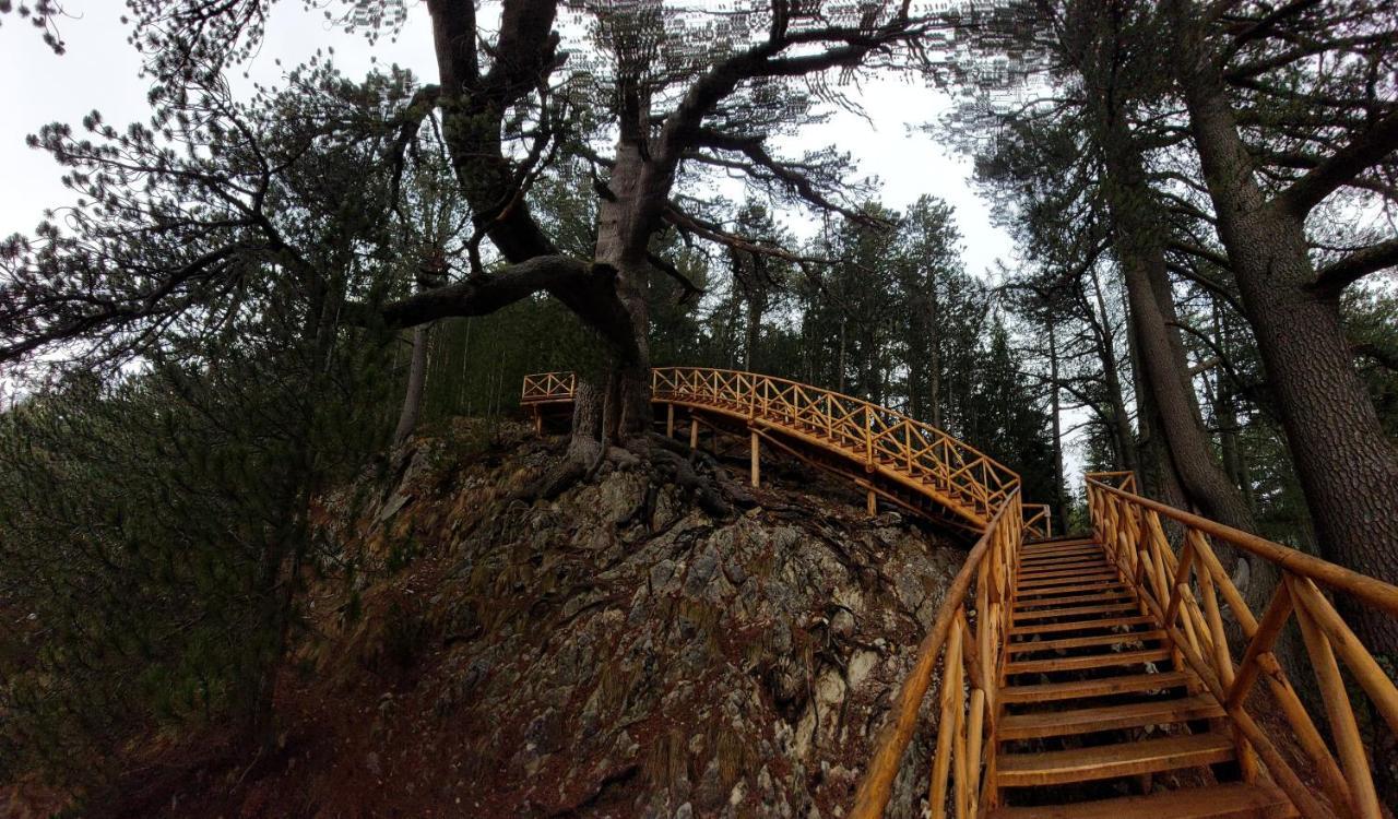 Free Spa В Св. Иван Рилски - Сладък Дом Сред Лукс Bansko Exterior foto